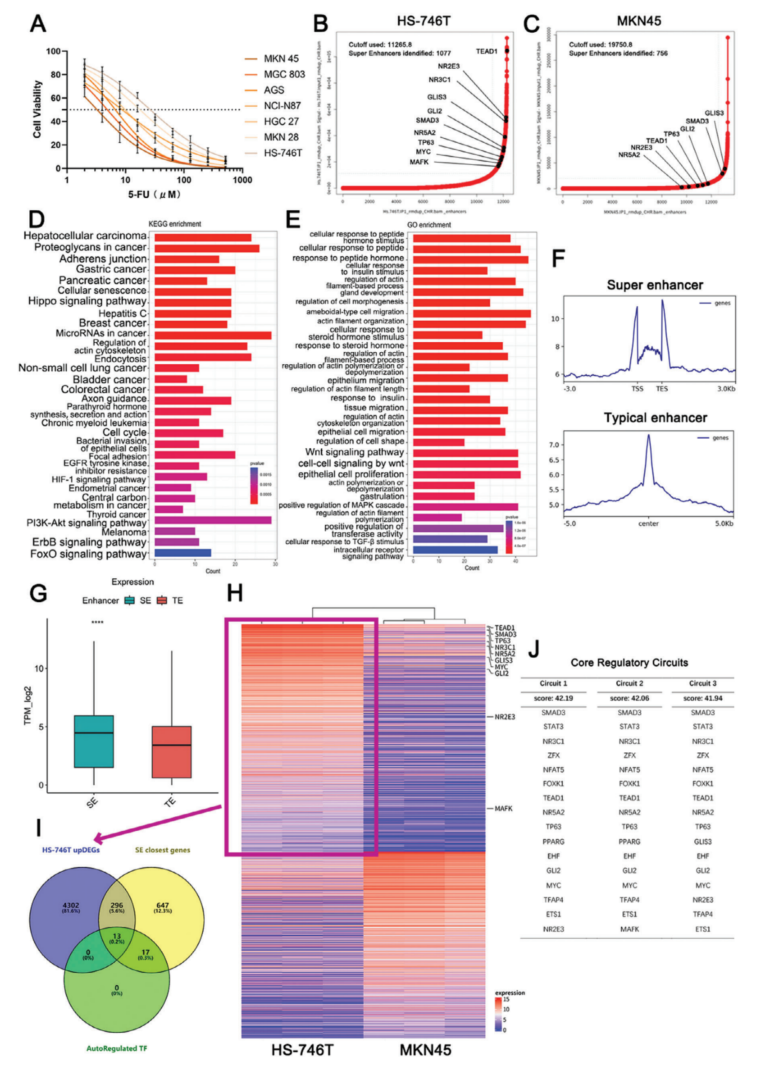 【合作案例】京房生物ChIP-seq、CUT&Tag表观组学技术助力胃癌耐药机制的研究